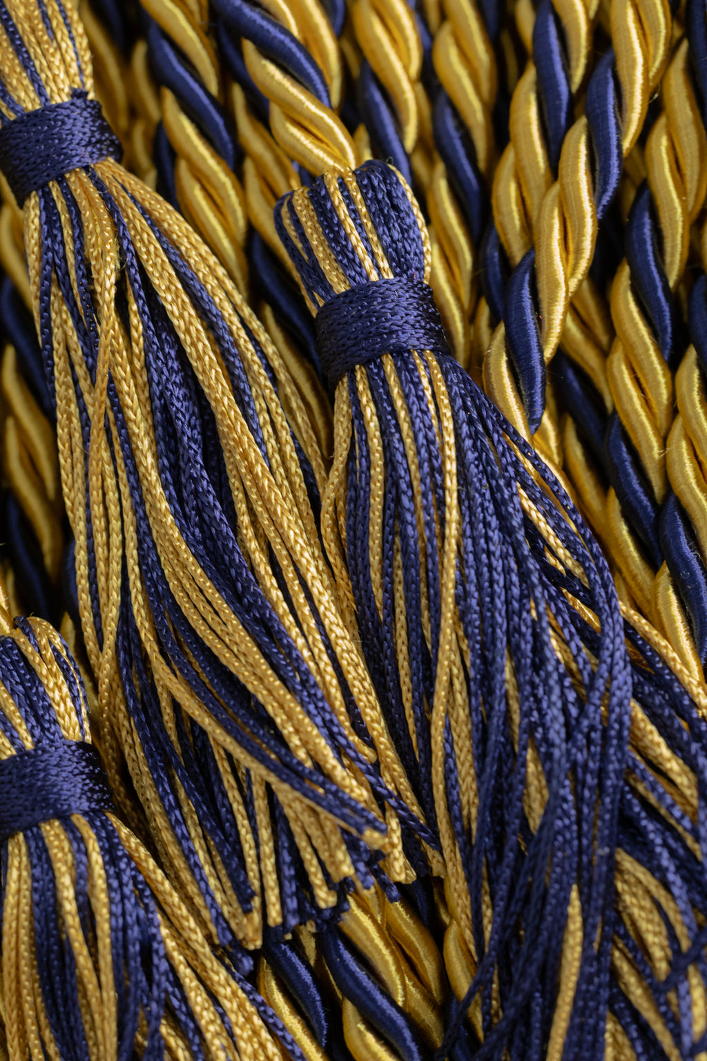 OLD GOLD, OLD GOLD, NAVY GRADUATION CORD, HONOR CORD