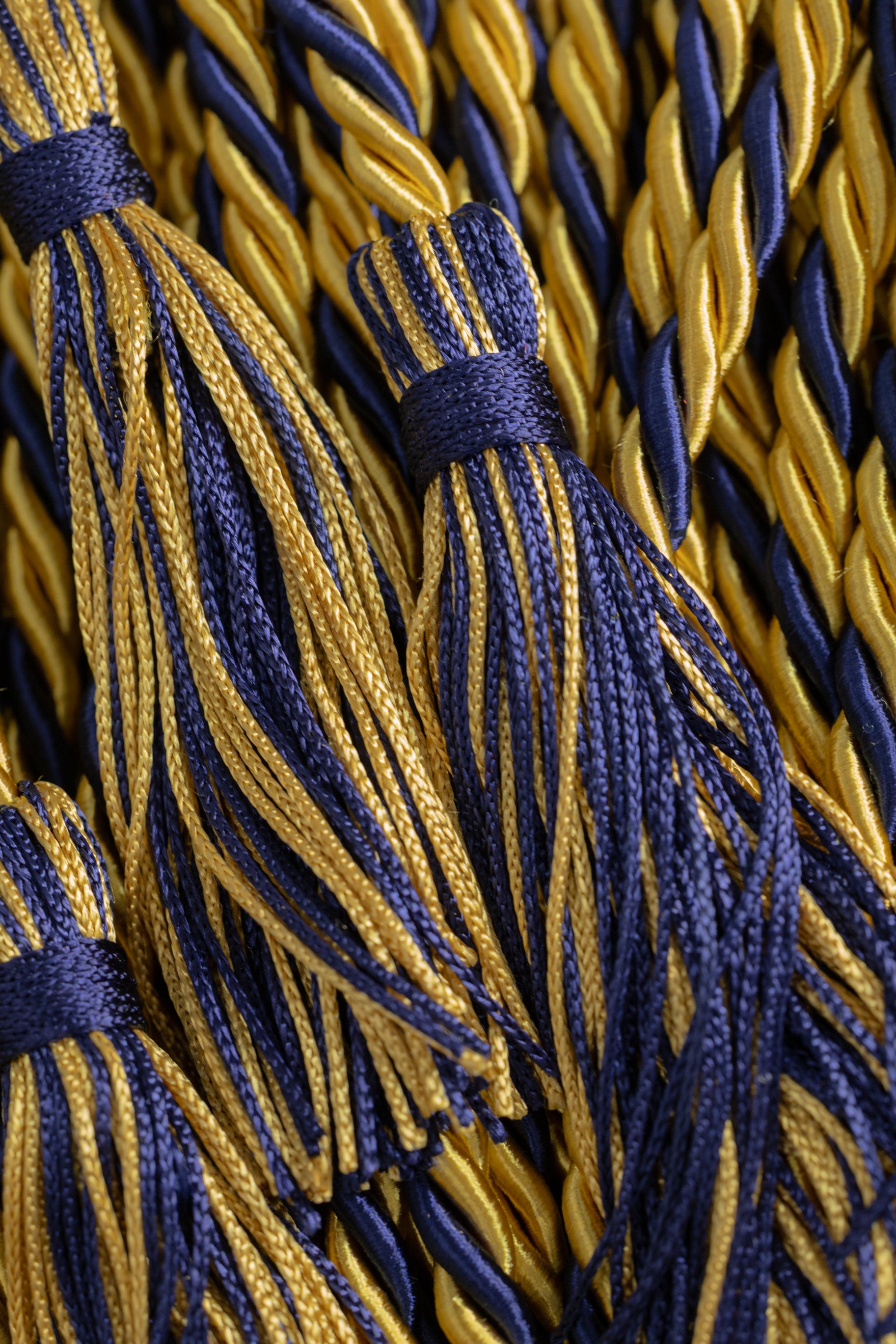 OLD GOLD, OLD GOLD, NAVY GRADUATION CORD, HONOR CORD