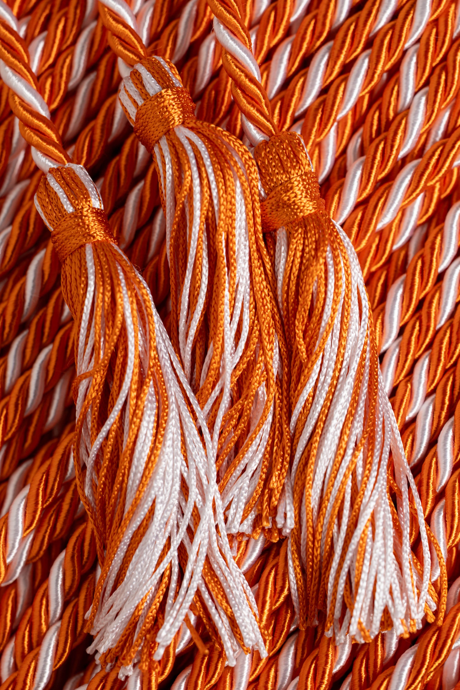 ORANGE, ORANGE, WHITE GRADUATION CORD, HONOR CORD