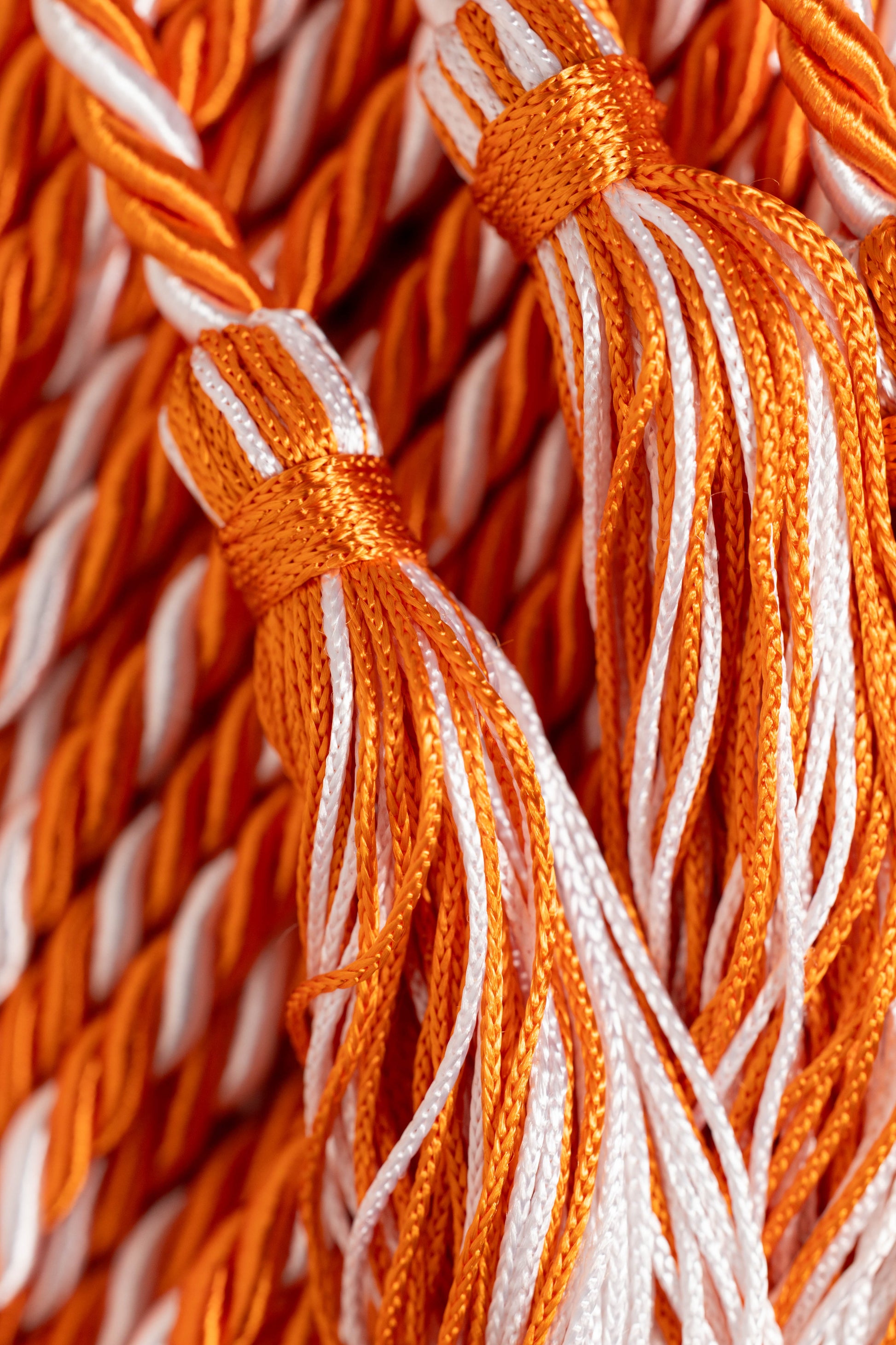 ORANGE, ORANGE, WHITE GRADUATION CORD, HONOR CORD