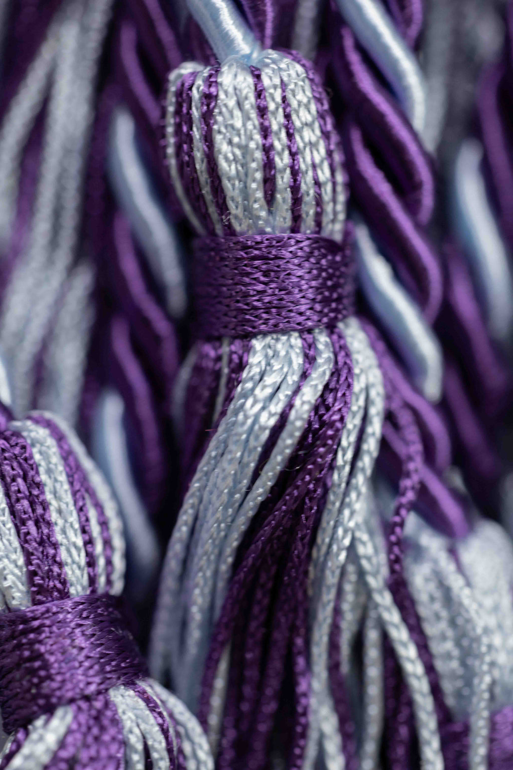 PURPLE, PURPLE, LIGHT BLUE GRADUATION CORD, HONOR CORD