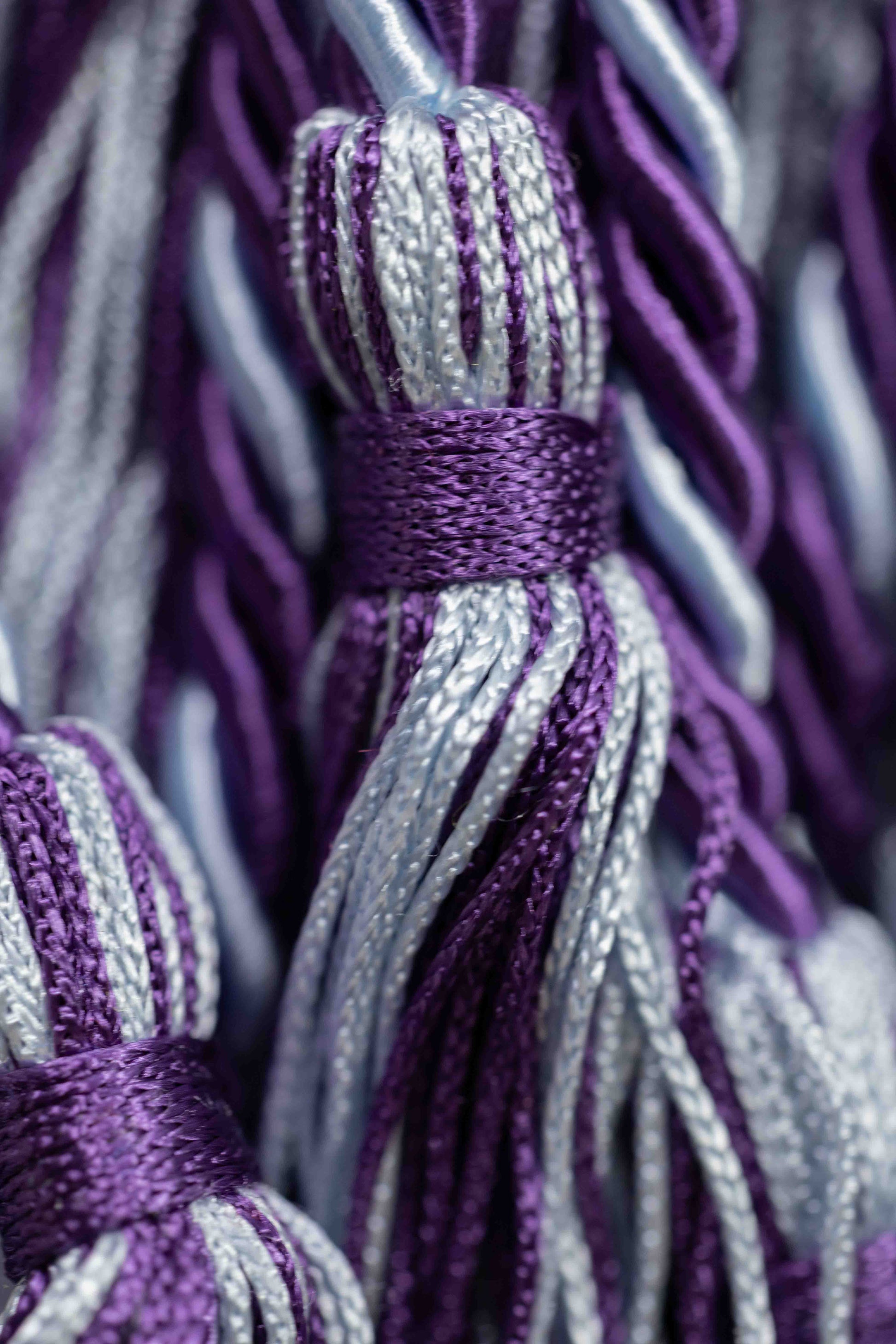 PURPLE, PURPLE, LIGHT BLUE GRADUATION CORD, HONOR CORD