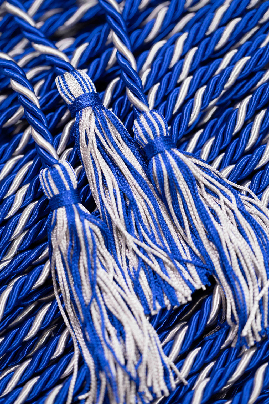 ROYAL BLUE, ROYAL BLUE, WHITE GRADUATION CORD, HONOR CORD