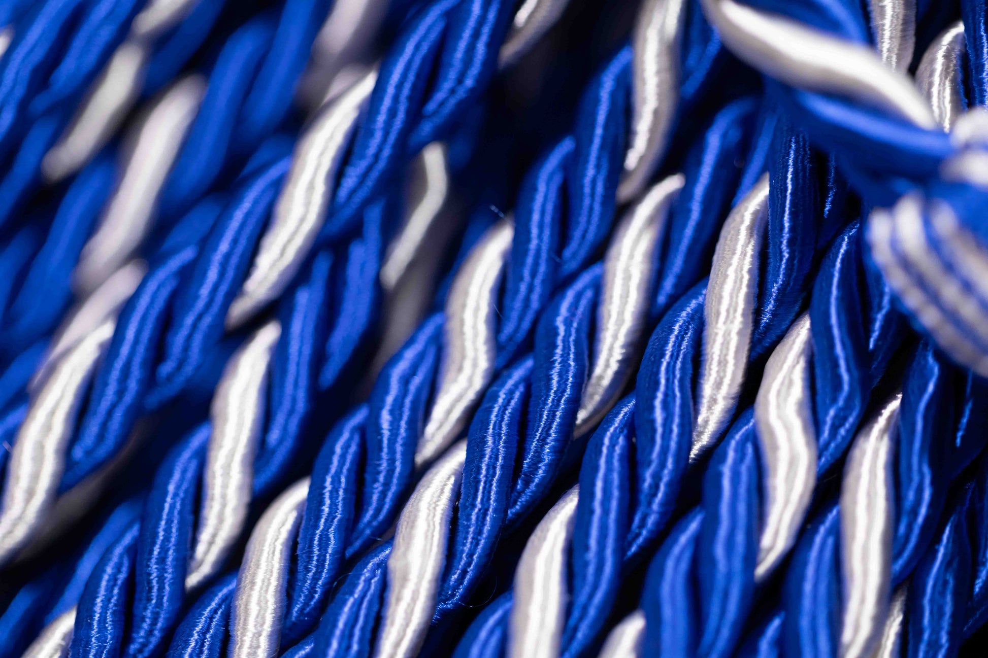 ROYAL BLUE, ROYAL BLUE, WHITE GRADUATION CORD, HONOR CORD