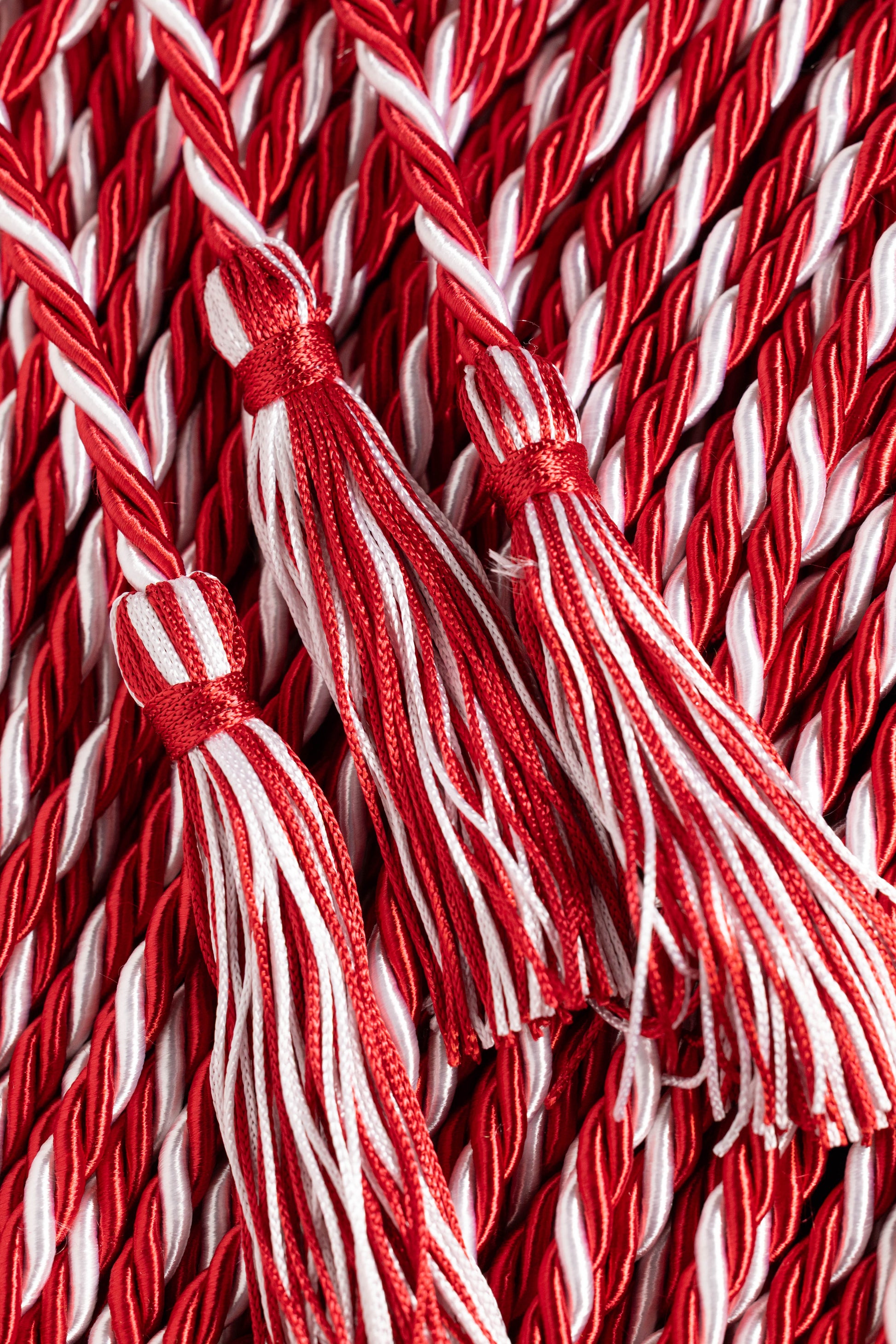 RED, RED, WHITE GRADUATION CORD, HONOR CORD