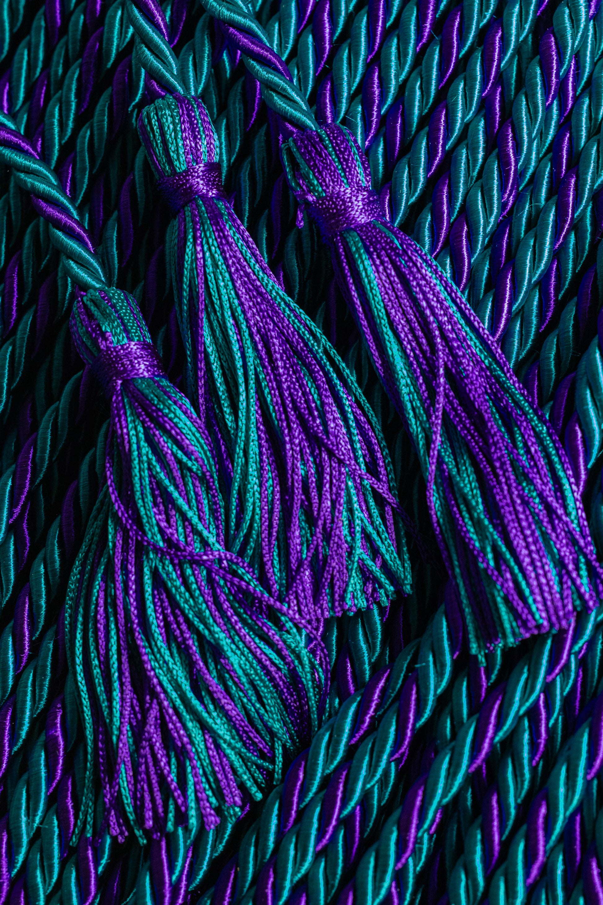 Teal, Teal, Purple Graduation Honor Cords